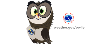 Owlie Skywarn: Hurricane Safety Book (pdf)