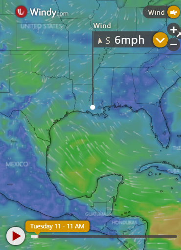 Live Current and Future WInds